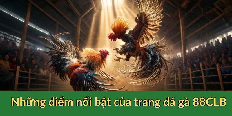 Những điểm nổi bật của trang đấu gà 88CLB